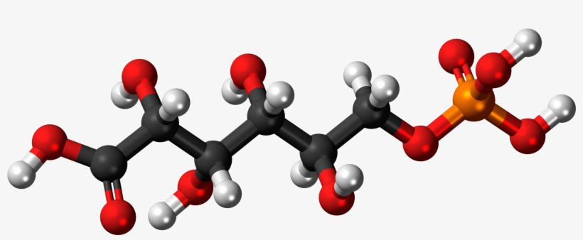 6 Phosphogluconic Ac - Molecule, transparent png