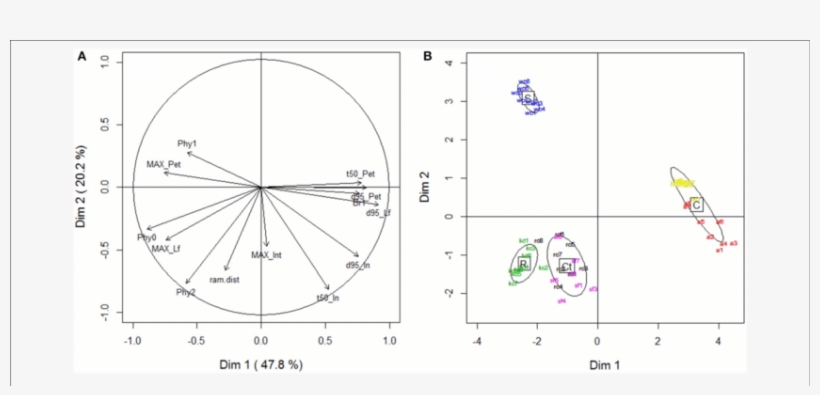 Download - Variable, transparent png
