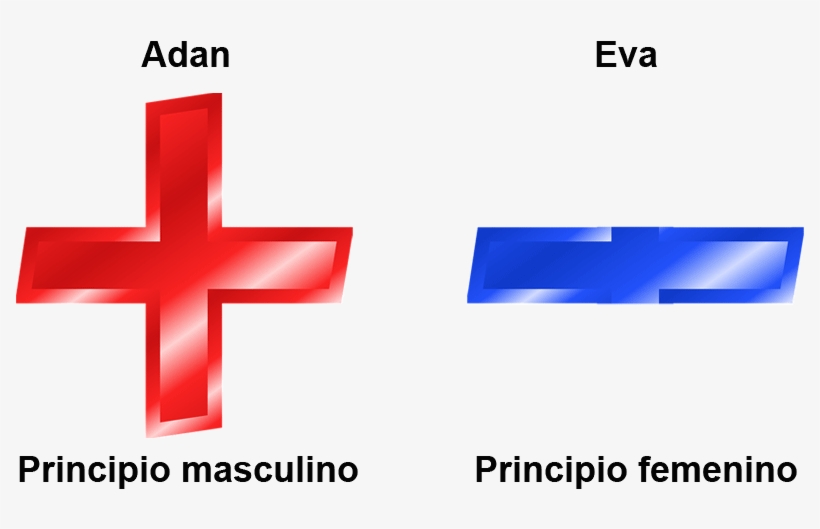 Superman, Simbologia, Simbolo, Kent, Heroe, Super, - Dewalt Cross-line Laser Cross-line Laser Set Dw088kpol, transparent png