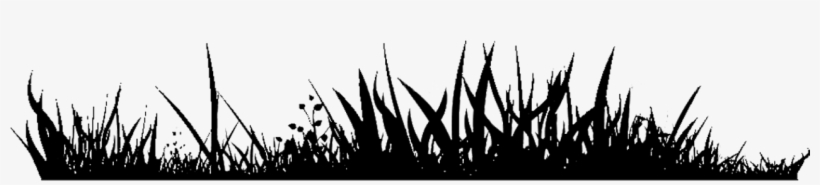 Img, Img, Img, Img, Img - Black Grass Clip Art, transparent png