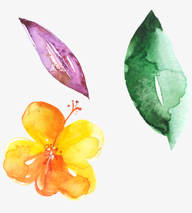 Hand Painted Flowers Green Leaves Beautiful Png - Portable Network Graphics, transparent png