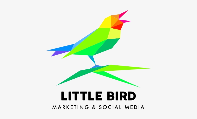 Little Bird Affordable Websites For Small Businesses - Dolori Del Giovane Walter, transparent png