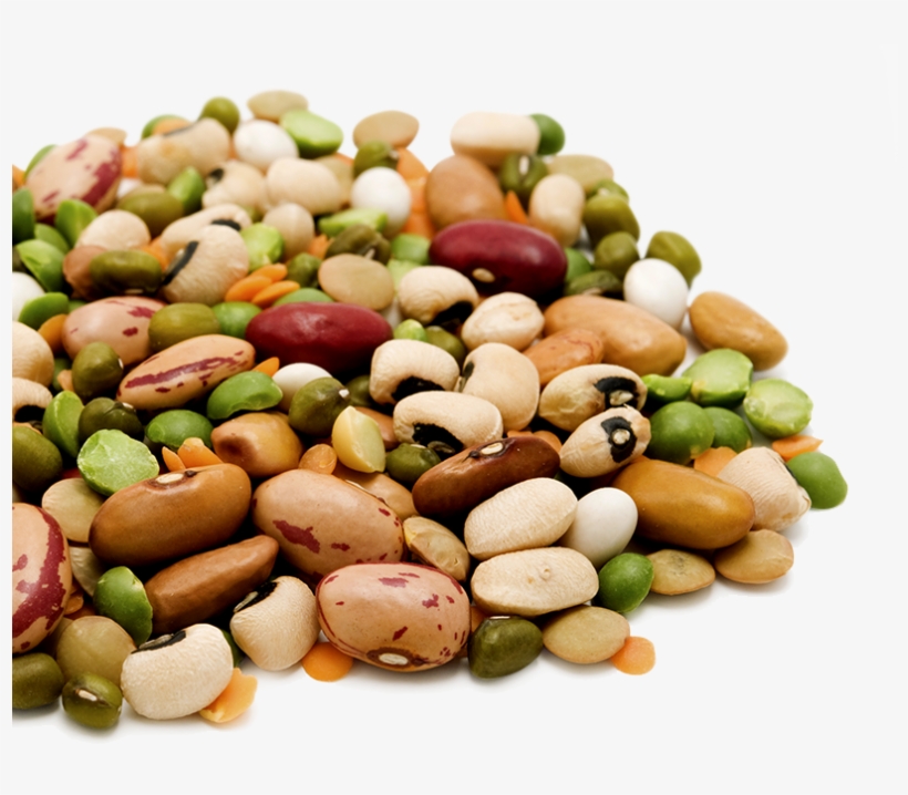 From Research, The Principles Of Healthy Eating - Meat Pulses And Beans, transparent png