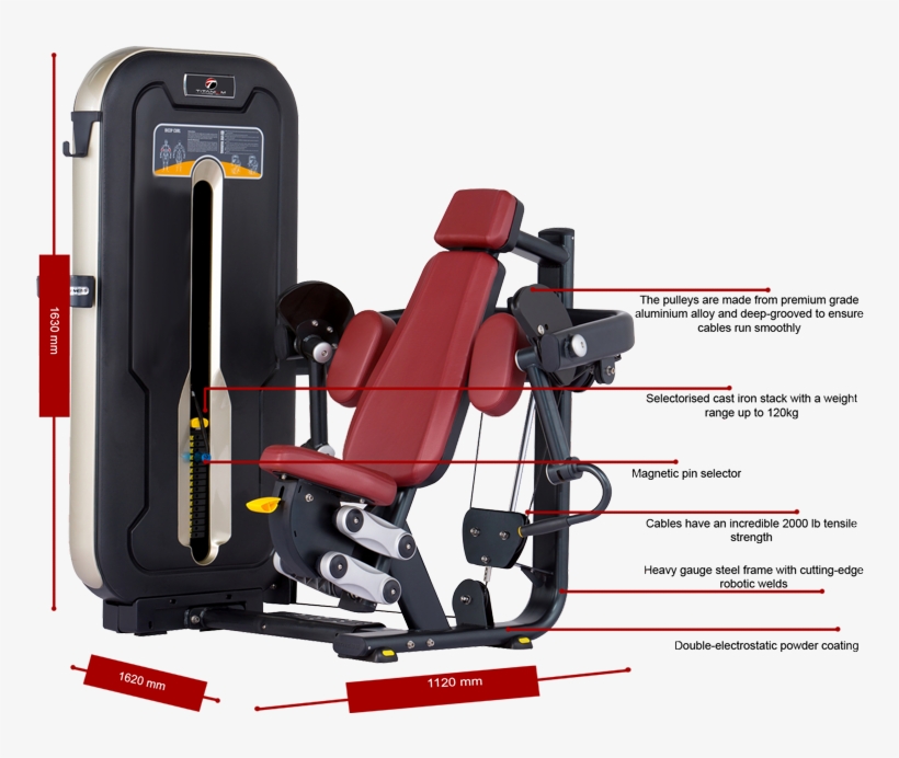 Titanium Usa Manhattan Bicep Curl Mt006 With Computerised - Titanium Usa Bicep Curl Mt006, transparent png