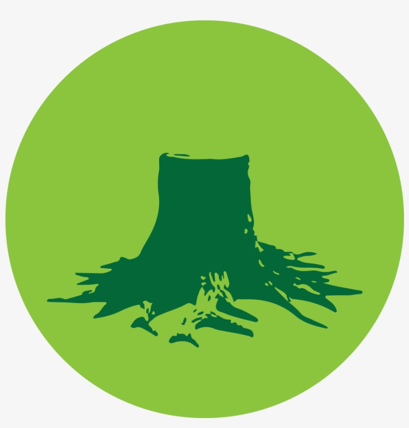 Tree-stump, transparent png