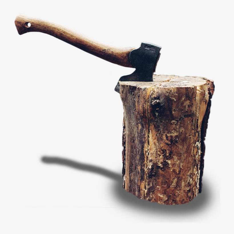 Experience - Tree Stump, transparent png