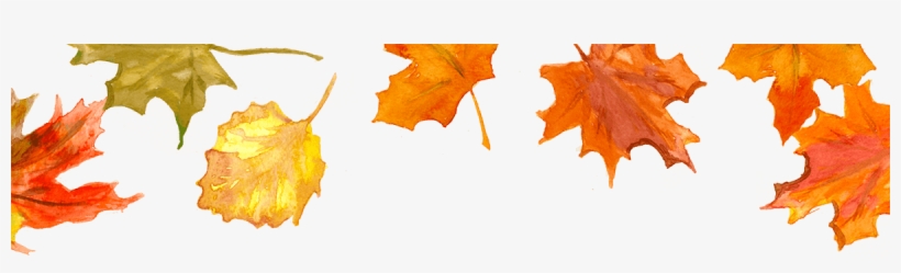 Come Join Us For A Thanksgiving Dinner - Winter Leaves Png, transparent png