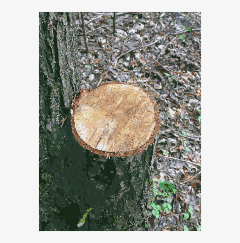 Tree Stump Wood Trunk Lumber - Lumber, transparent png