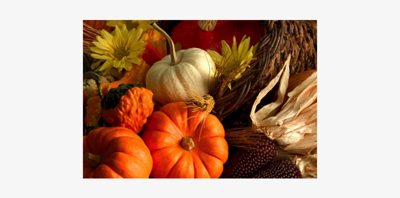 Wednesdays At Knox Celebrates Thanksgiving With A Special - Fall Thanksgiving Banner Give Thanks 3x5, transparent png