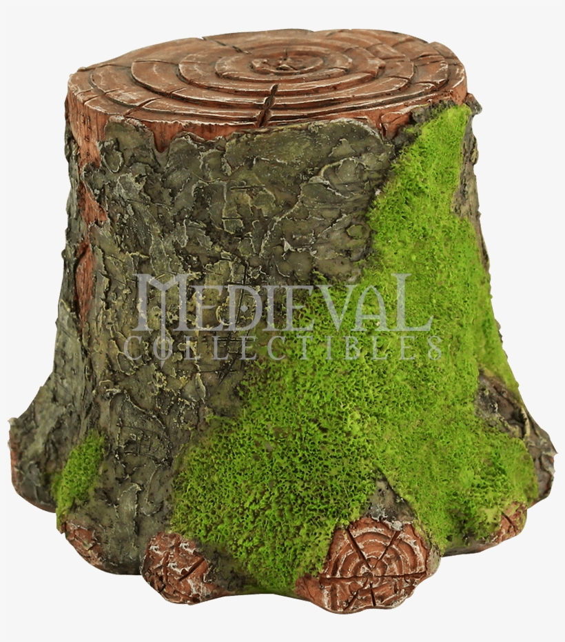 Dunecraft Pincushion Cactus (tiny Terrariums) 850x850 PNG Download PNGkit