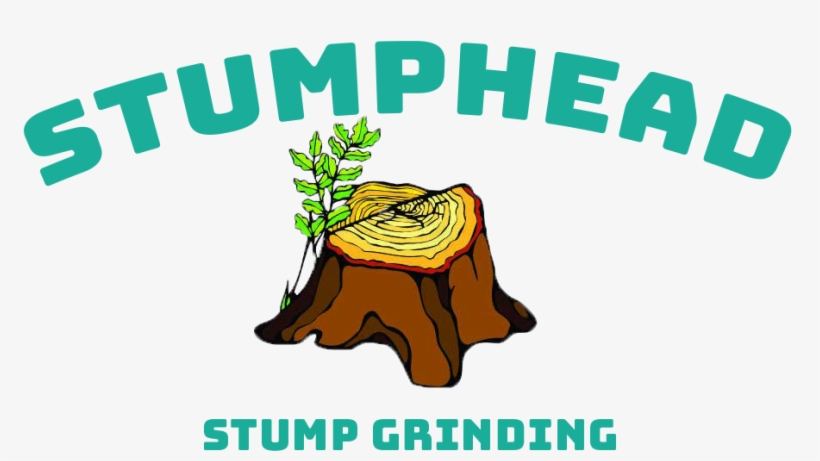 Stump Grinding & Removal - Tree Stump, transparent png