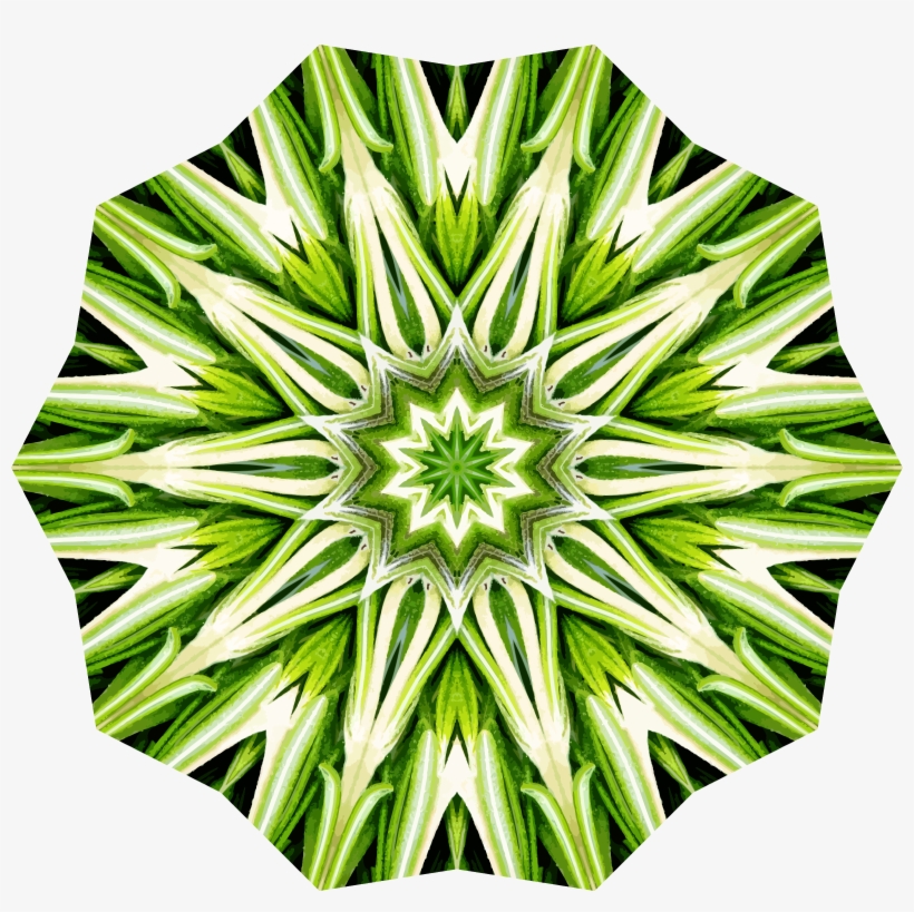 This Free Icons Png Design Of Rosemary Kaleidoscope, transparent png