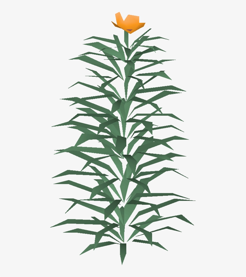 Rosemary Built - Houseplant, transparent png