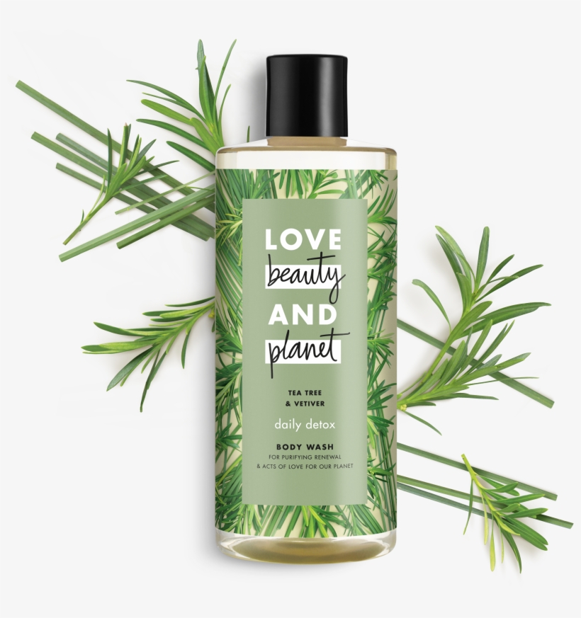 Love Beauty And Planet Rosemary & Vetiver Shower Gel - Love Beauty And Planet Shampoo Review, transparent png