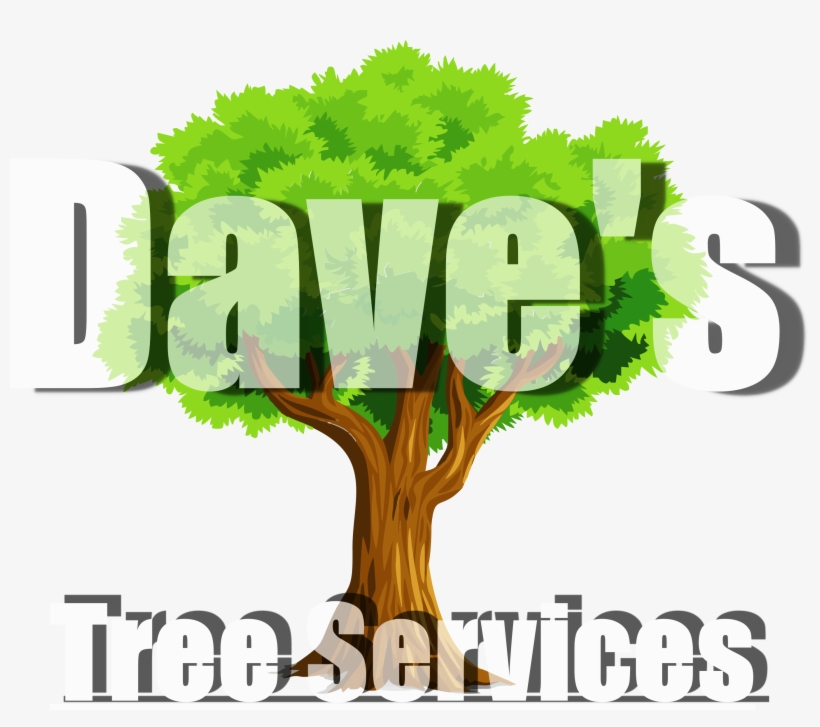 Dave's Tree Services - Sandy Springs, transparent png