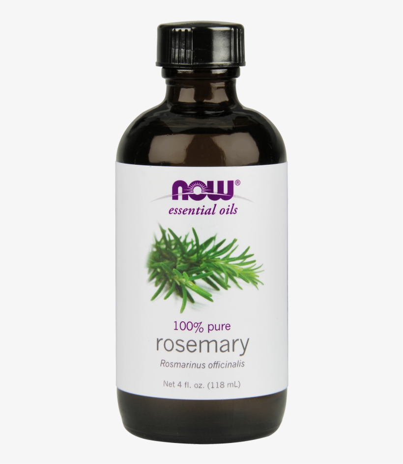 $7 - - Now Foods - Rosemary Oil - 4 Oz., transparent png