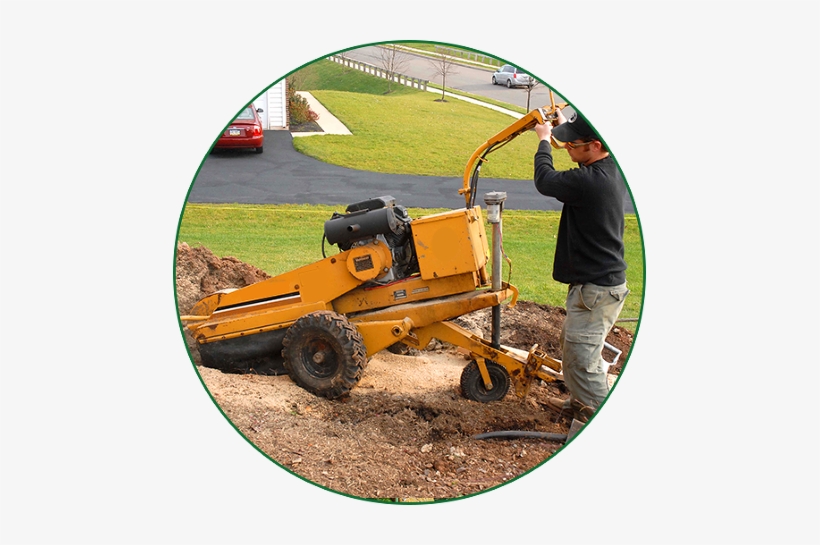 Tree Pruning Tool Stump Grinding Debris Cleanup - Tree Stump, transparent png
