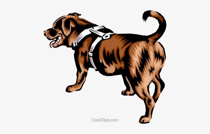 Newfoundland Dog Royalty Free Vector Clip Art Illustration - Newfoundlands Dog Vector Png Clipart, transparent png