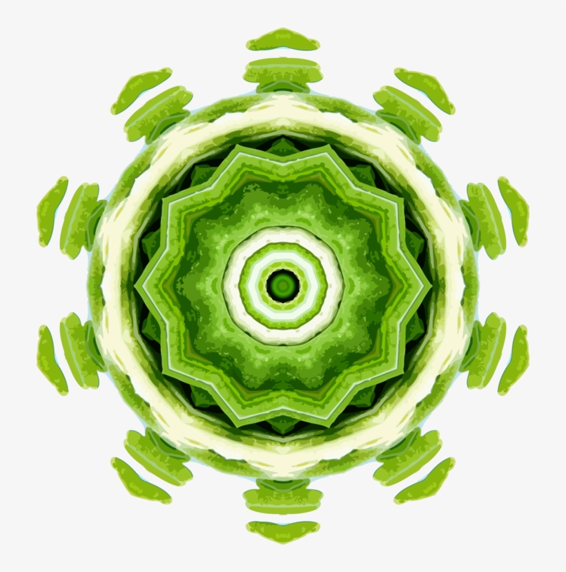 Computer Icons Herb Rosemary Kaleidoscope - Clip Art, transparent png