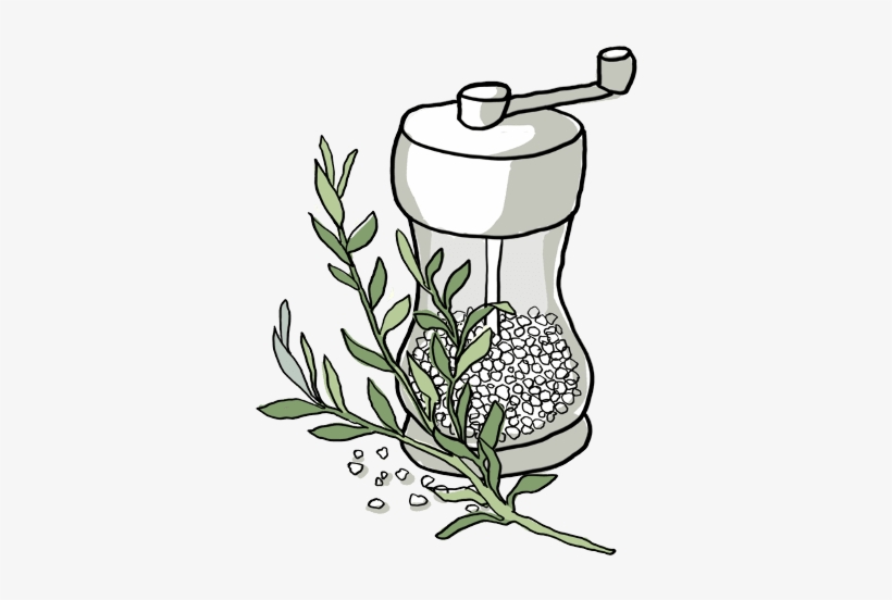 Ingredient Rosemary - Line Art, transparent png