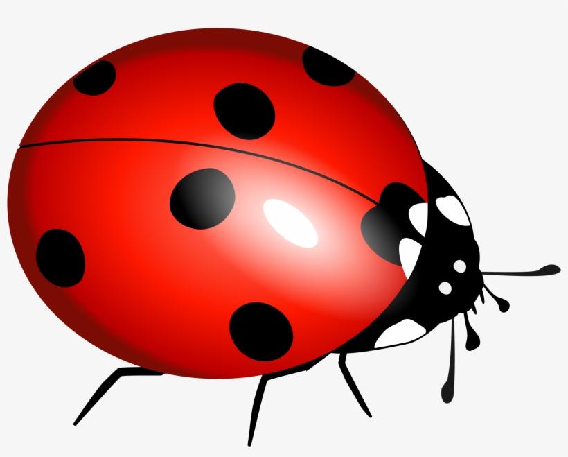 Hippie Clipart Unconditional Love - Lady Bug Clipart, transparent png