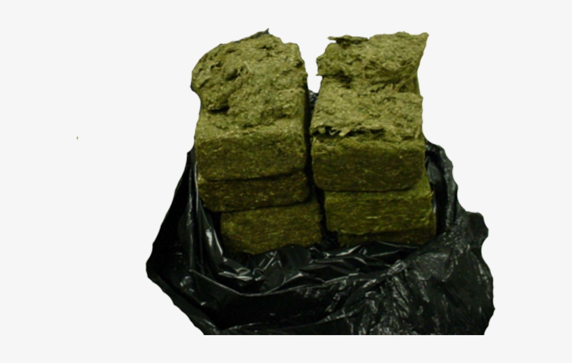 Dea Allows University Of Mississippi To Grow Way More - Marijuana Press, transparent png