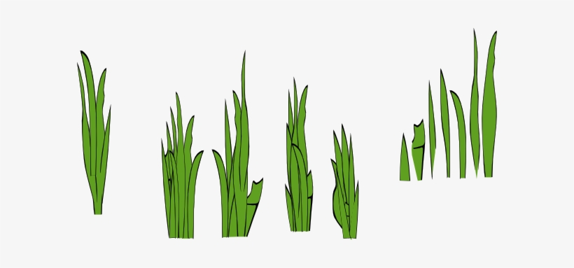 Weed Clipart Sea Grass - Grass Clip Art, transparent png