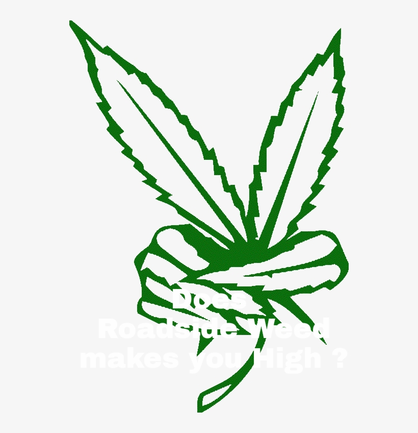 It Will Have A Fat Stem And It's Useless For Getting - Marijuana Peace Sign, transparent png