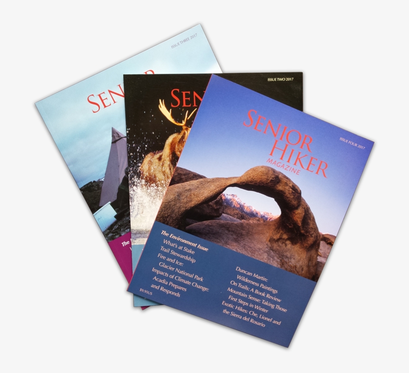 Buy Or Renew Subscription - Flyer, transparent png