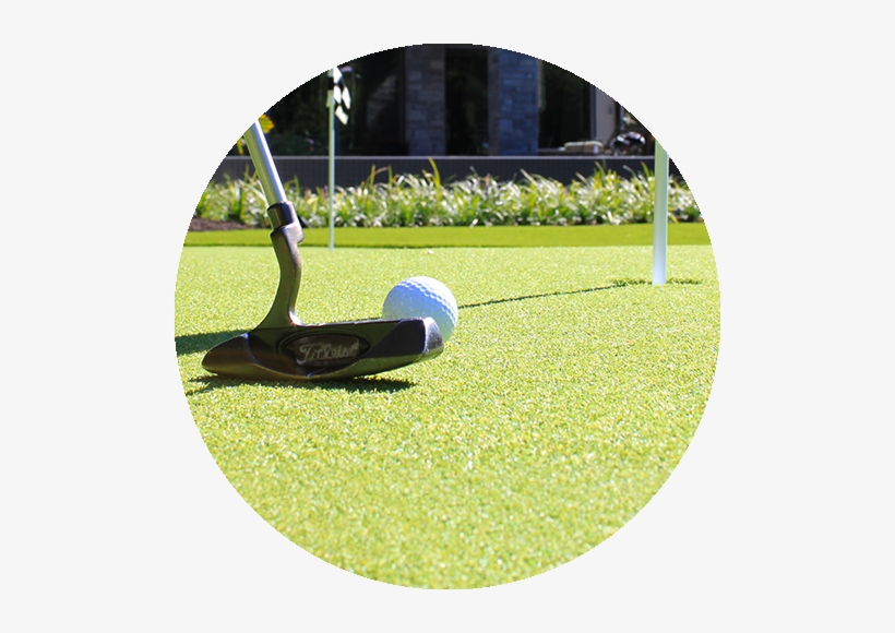 Lawn, transparent png