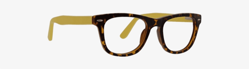 Reader In Matte Tortoise & Yellow - Persol Po3007v 1013 Green Women/men Eyeglasses, transparent png