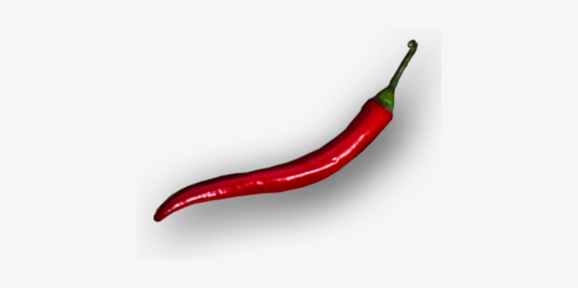 Pepper - Bird's Eye Chili, transparent png