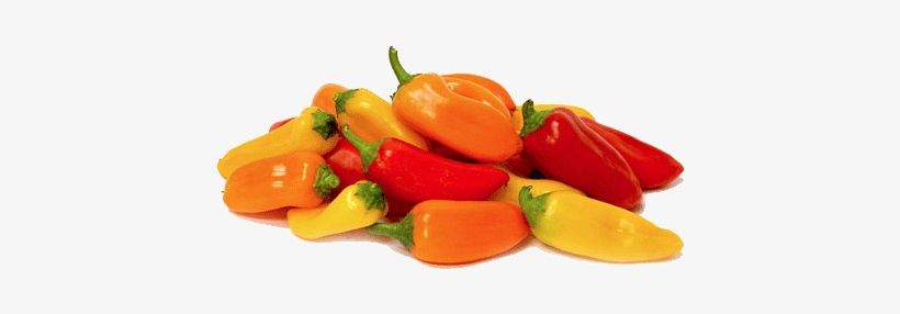 Sowing, transparent png