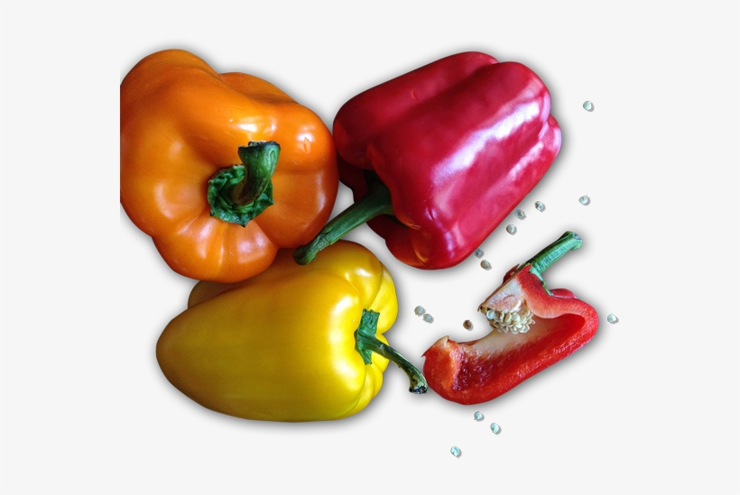 Peperoni, transparent png