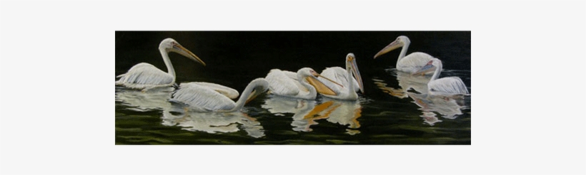 John James Audubon, transparent png