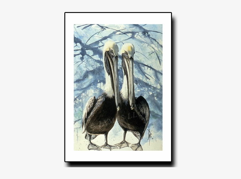 This Puddle's Mine - Booby, transparent png