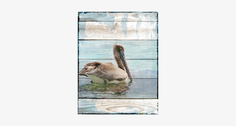 Tulum Pelican Canvas - Brown Pelican, transparent png