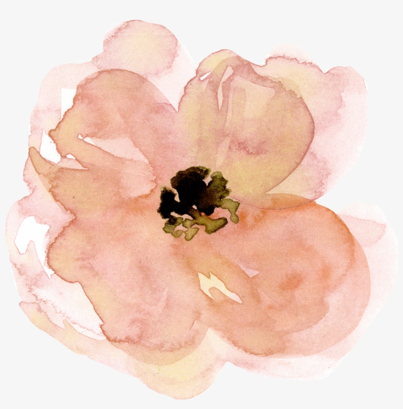 Coffee Book Tag Ft - Corn Poppy, transparent png