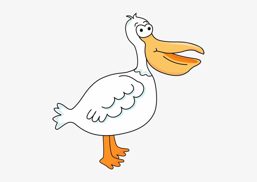 Cartoon Pelican Pictures - Pelican Cartoon Png, transparent png