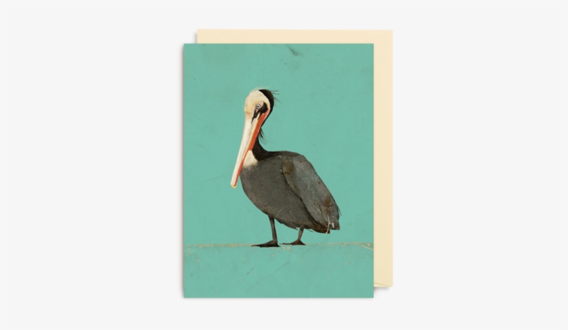 Pelican Mini Card - Wenskaart Carrie May, transparent png