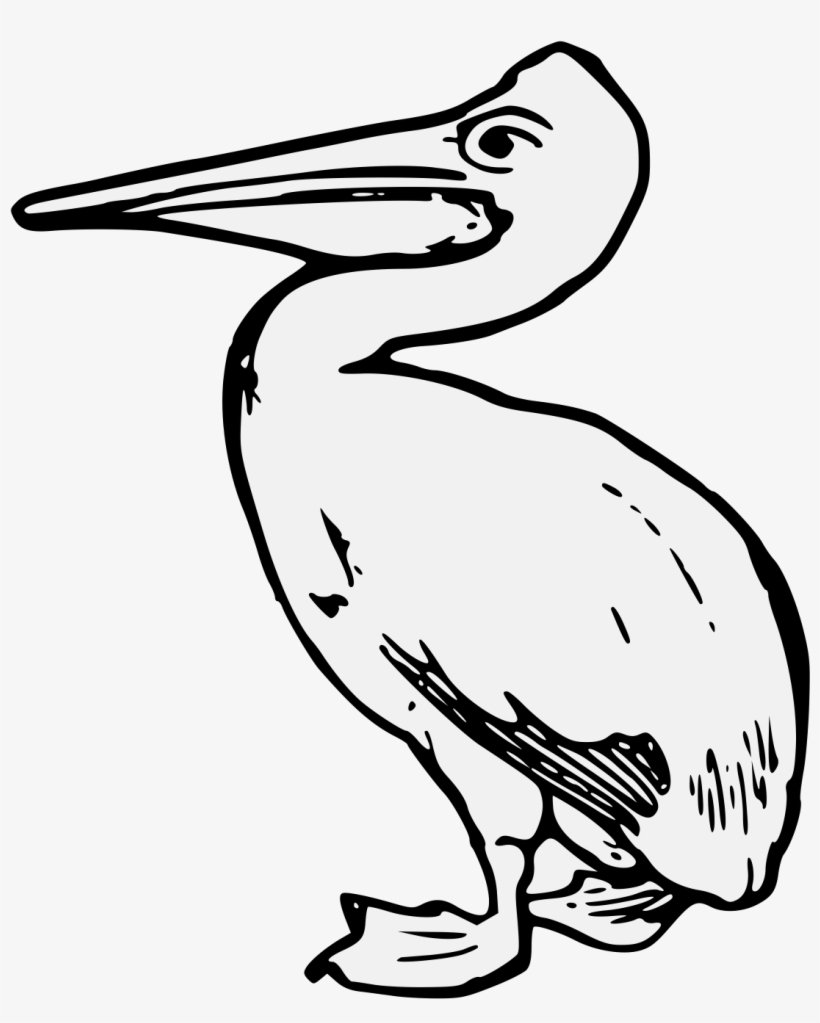Details, Png - Bird, transparent png