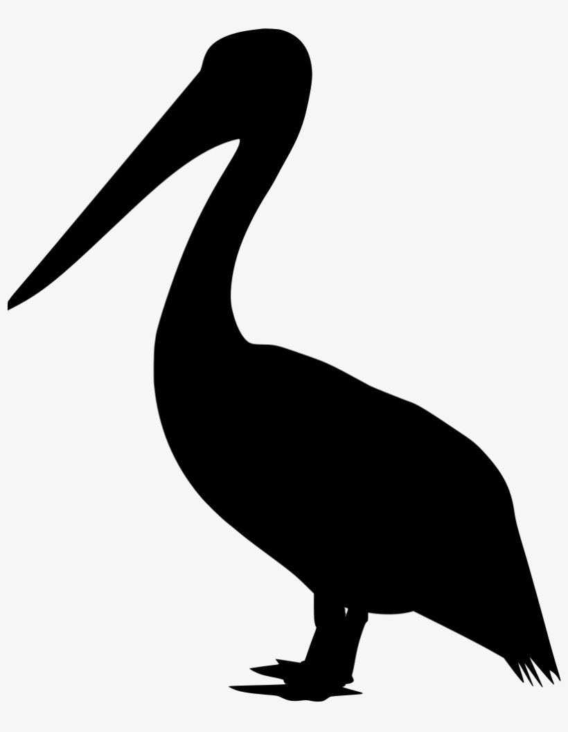 Download Png - Bird, transparent png