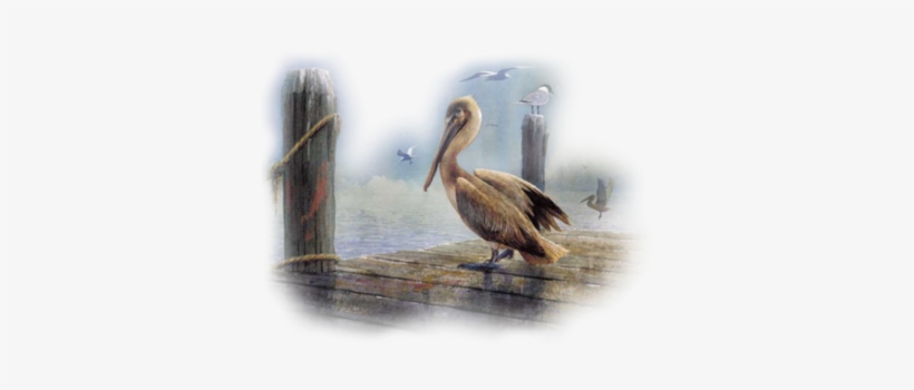 Pelican On Dock - Watercolor Painting, transparent png