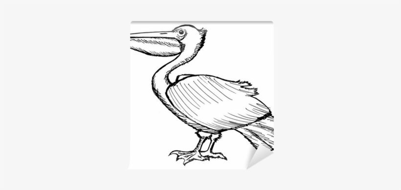 Pelican Clip Ary, transparent png