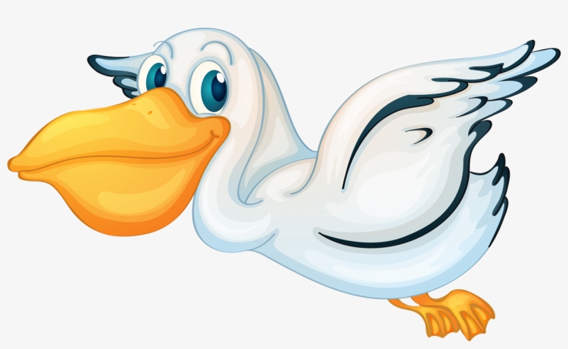 Pelican Eating And Flying, transparent png