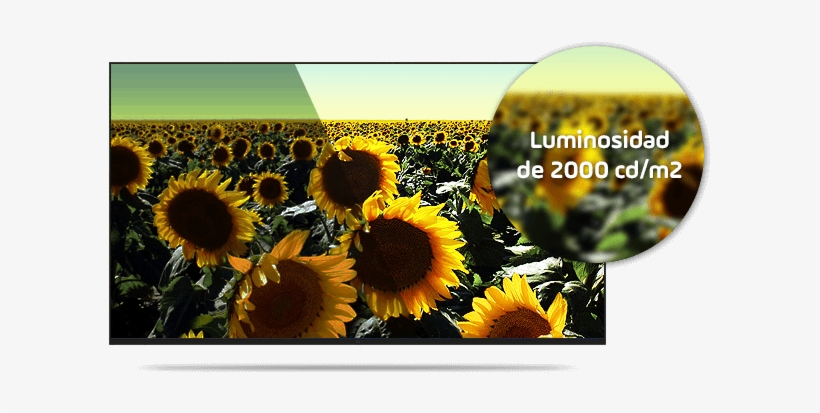 01 Mar Brillo - Memory At Large [book], transparent png