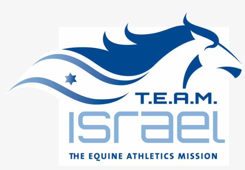 Logo Home Page Big - Stallion, transparent png