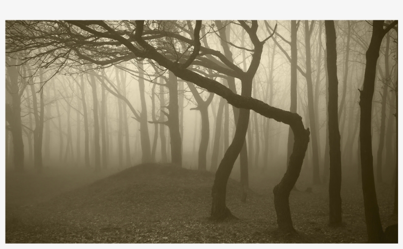 Score 50% - Purple Foggy Forest, transparent png