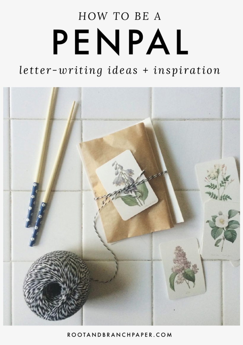 How To Be A Pen Pal - Pierre-joseph Redoute Camelias Yard Sign, transparent png