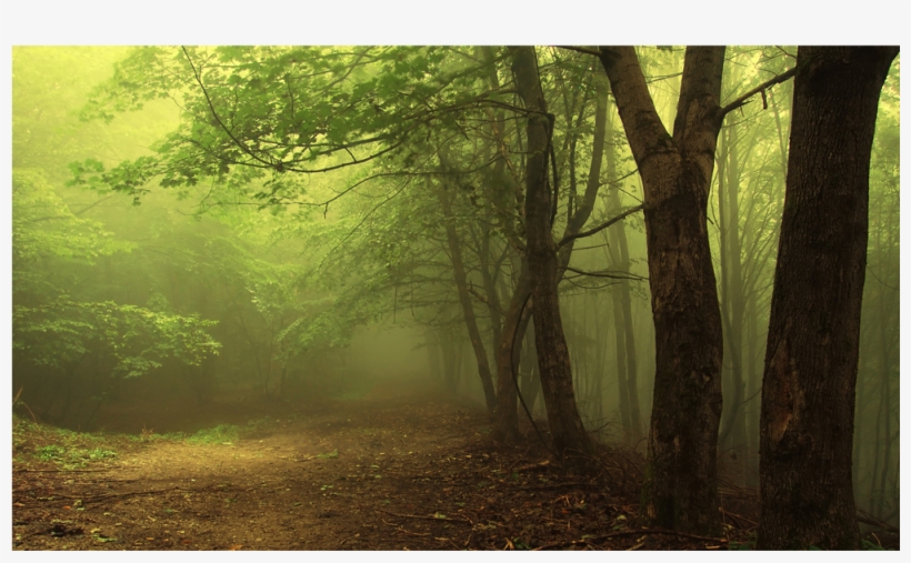 Score 50% - Unofficial Guide To The Elder Scrolls V - Skyrim: A, transparent png